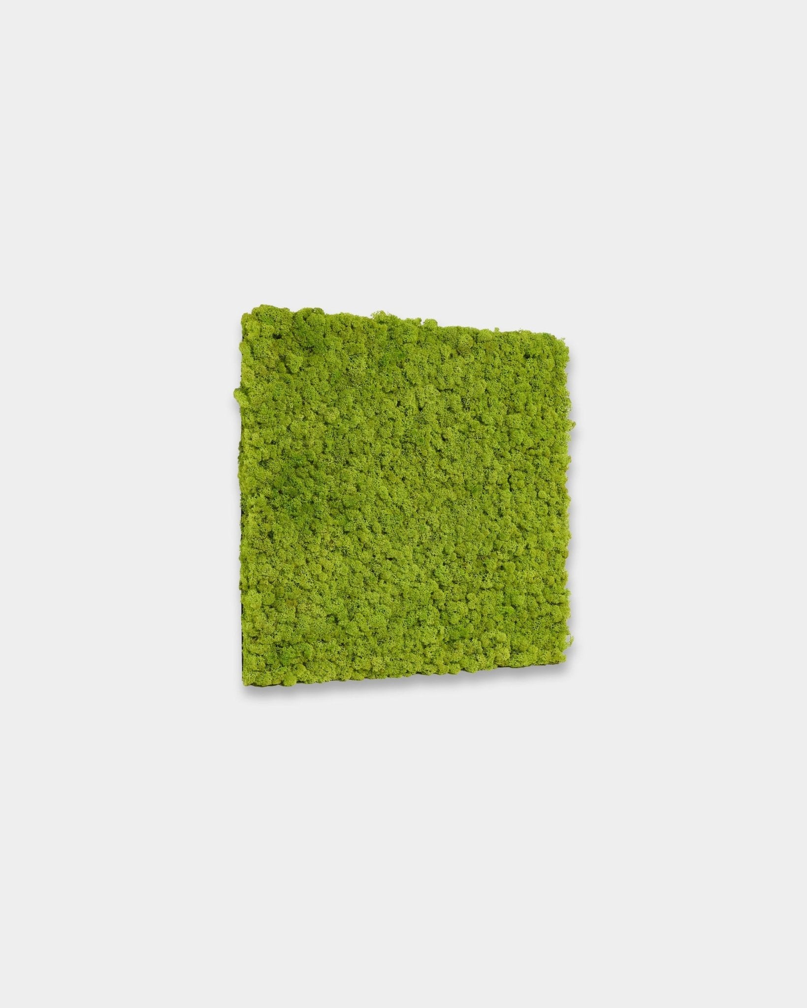WoodUpp Akupixel Panel acústico en Apple Green, tamaño 60 x 60 cm, presenta lamas verde intenso sobre un fondo blanco liso.