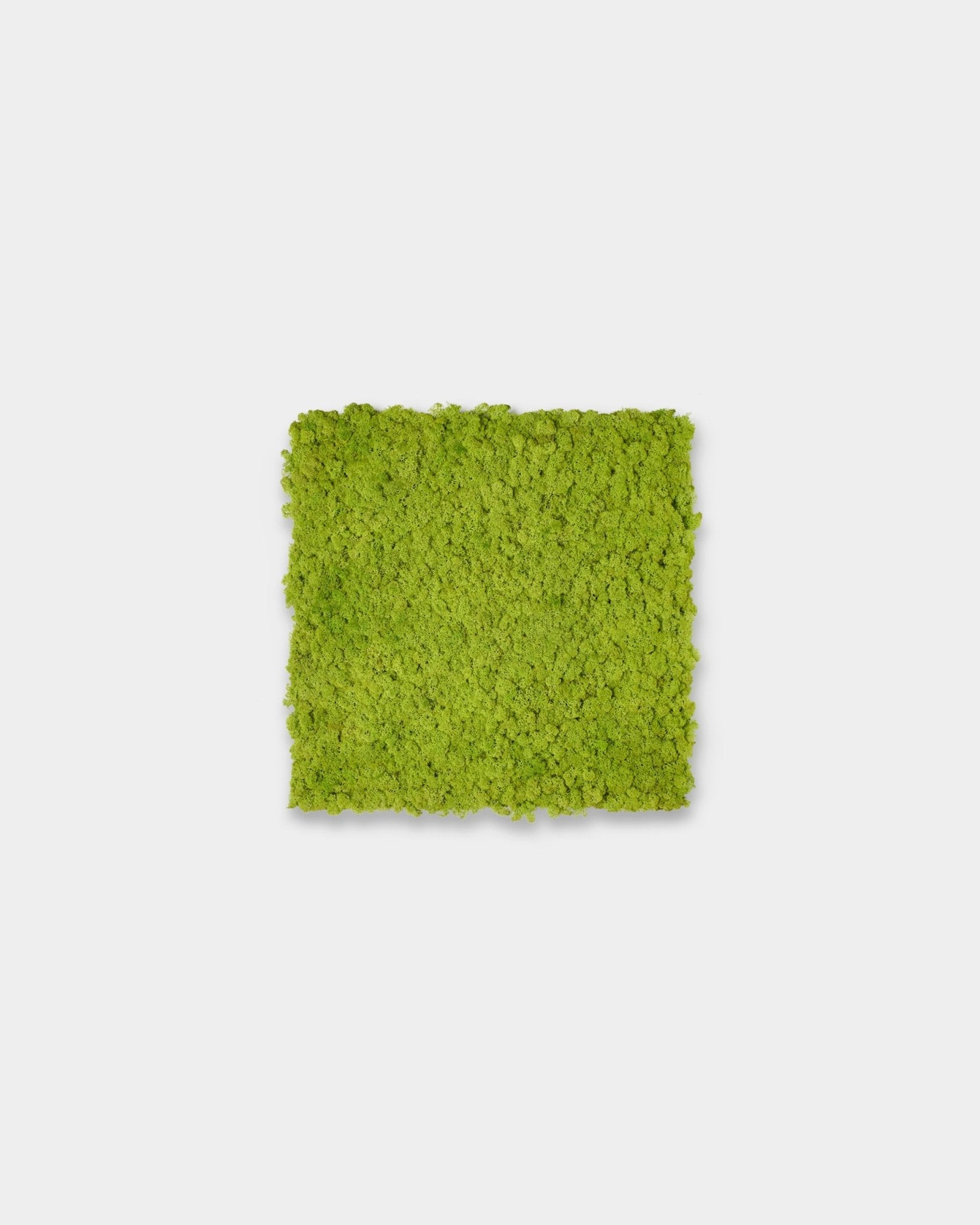 Akupixel Panel acústico en Apple Green, 60x60 cm, de WoodUpp, expuesto como un acento cuadrado sobre un fondo liso gris claro.