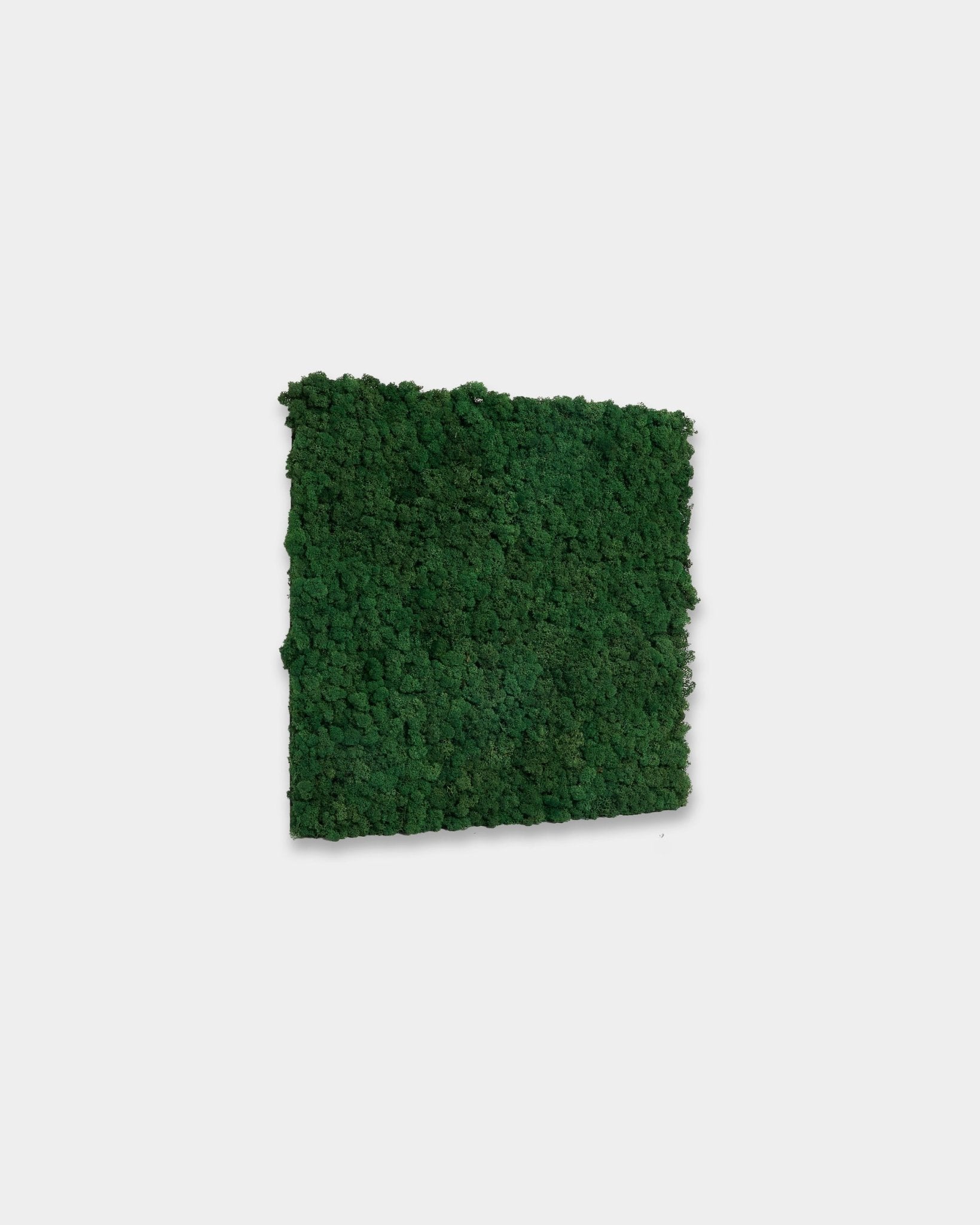WoodUpp Akupixel Moss Green Panel acústico (60 x 60 cm) en un vibrante color moss green, presentado sobre un fondo blanco liso.