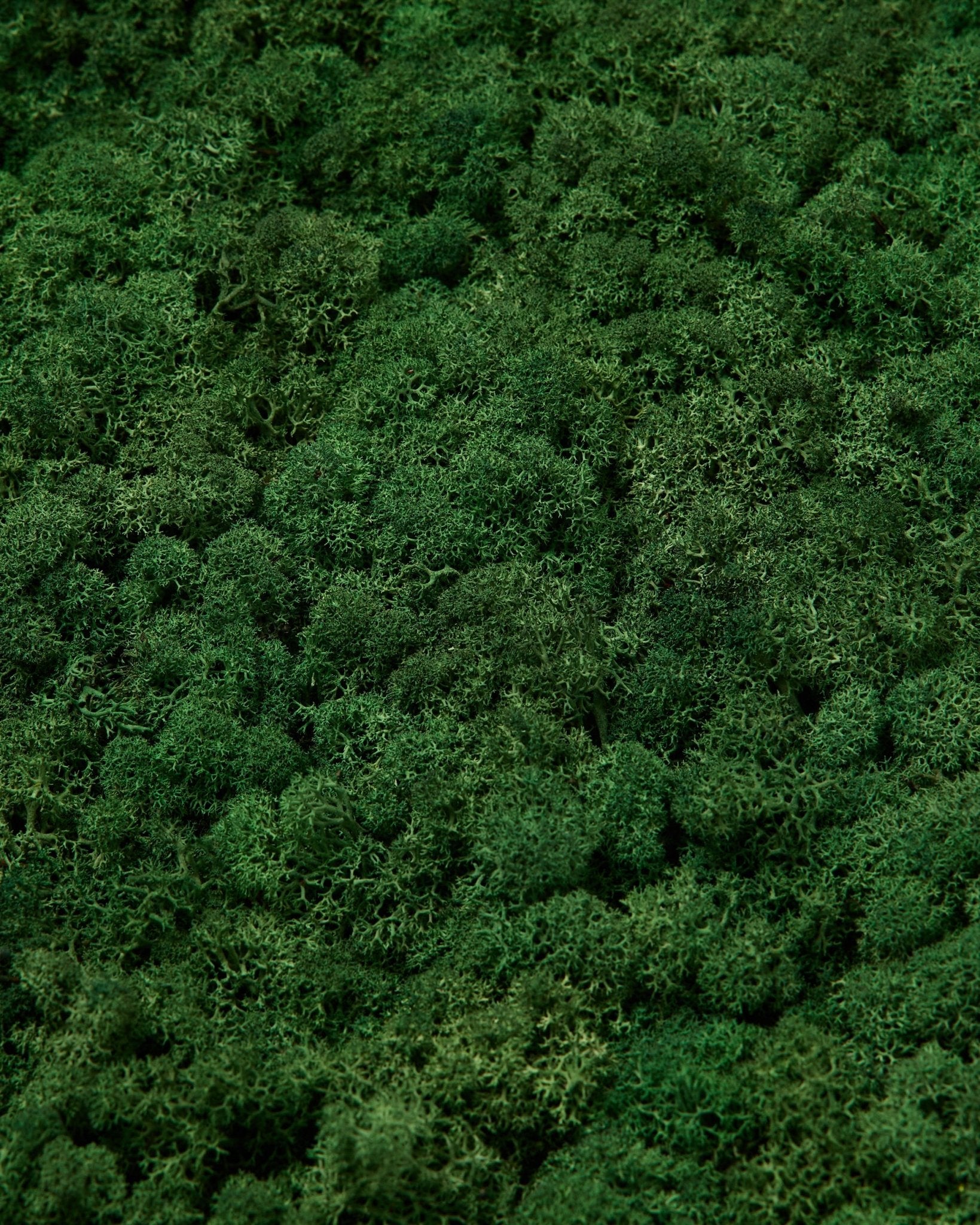 La muestra WoodUpp Moss en Moss Green presenta una superficie verde intensa y densa, con una textura rica y patrones naturales e irregulares para paneles acústicos nórdicos.