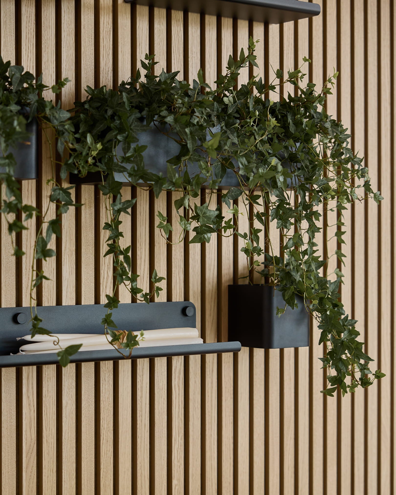 Hiedra verde colgante en una jardinera Plant Box WoodUpp Norr de black (47,9 cm), montada en un panel de listones WoodUpp Akupanel sobre una balda con una toalla blanca enrollada.