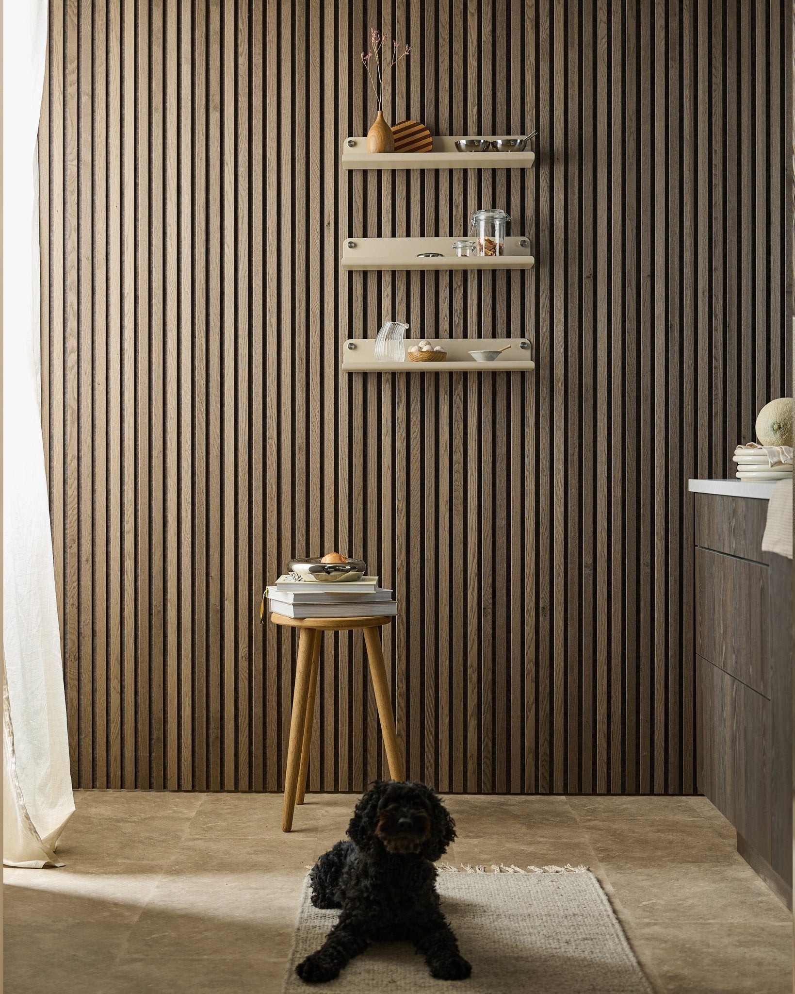 Un perro black descansa sobre una alfombra en una estancia moderna con una pared Akupanel Panel acústico, un beige estante ancho WoodUpp Norr Estantería (51,9 cm), un taburete con libros y una luz suave.