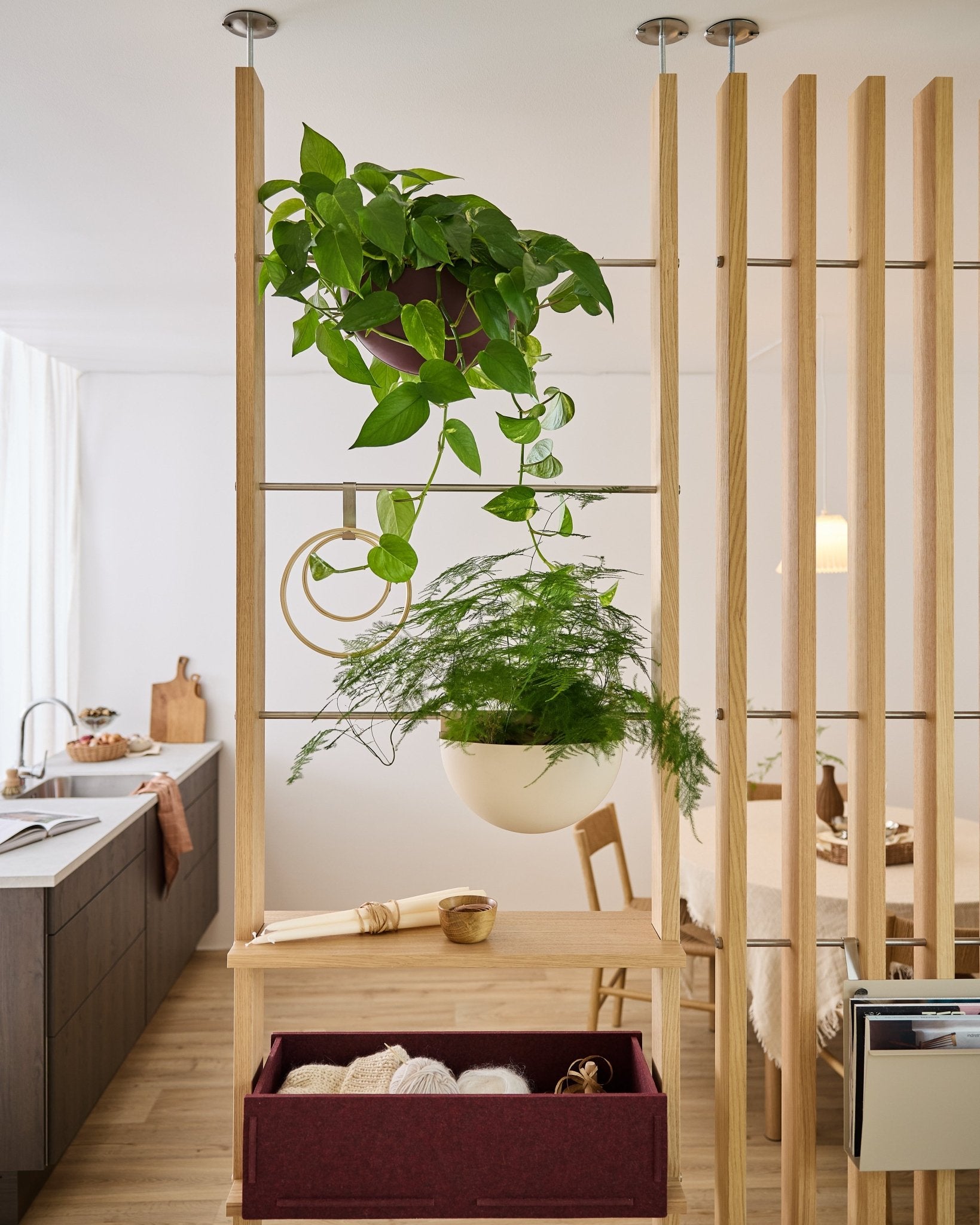 El separador de ambientes Gro Soft Pocket de WoodUpp, con la caja BM2 Ox Red y dos plantas colgantes, separa la cocina del comedor en un piso luminoso y moderno.
