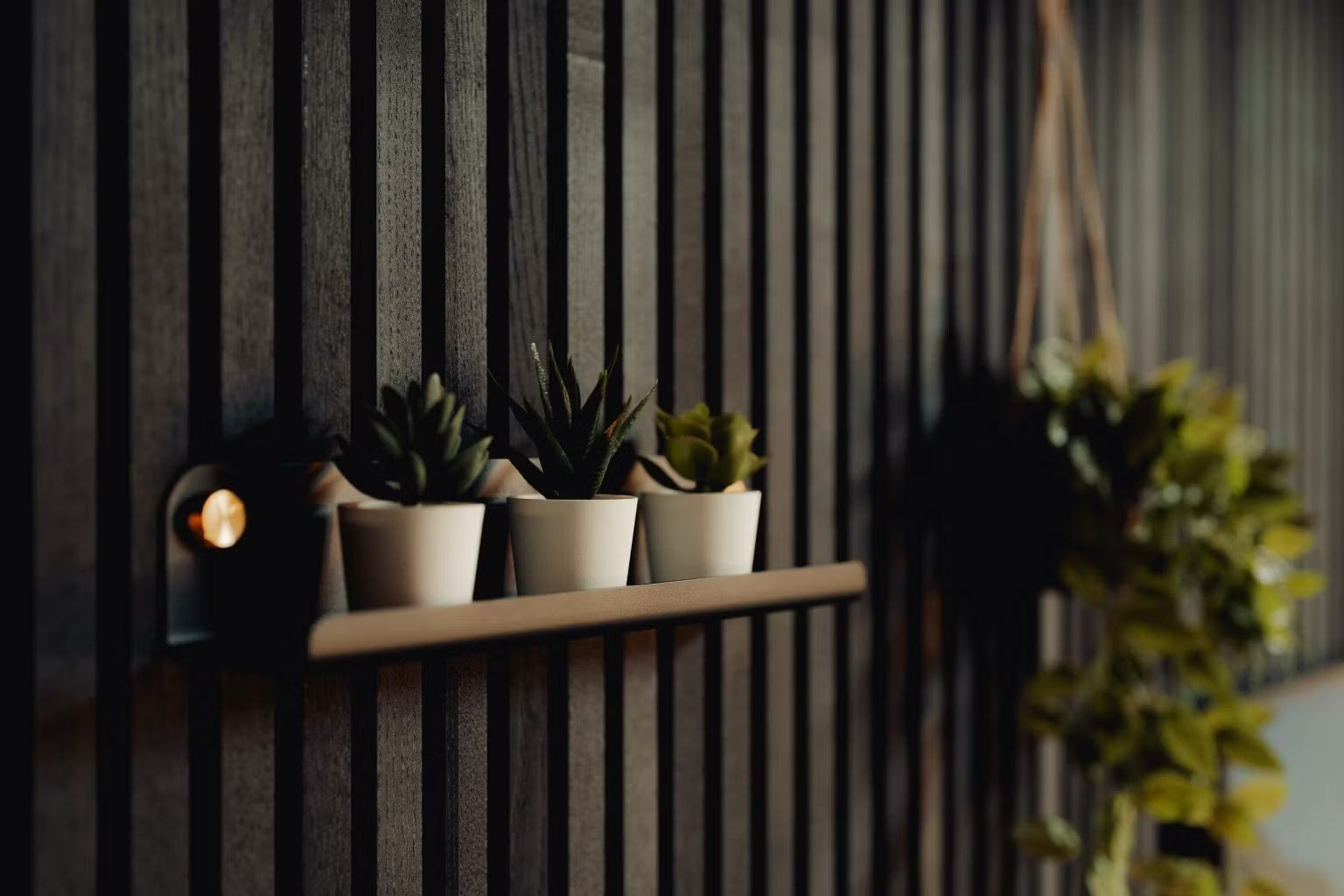 Tres pequeñas suculentas en maceta sobre un estante flotante montado en una pared oscura de paneles de madera acústica Akupanel de estilo nórdico, con vegetación colgante difuminada al fondo.