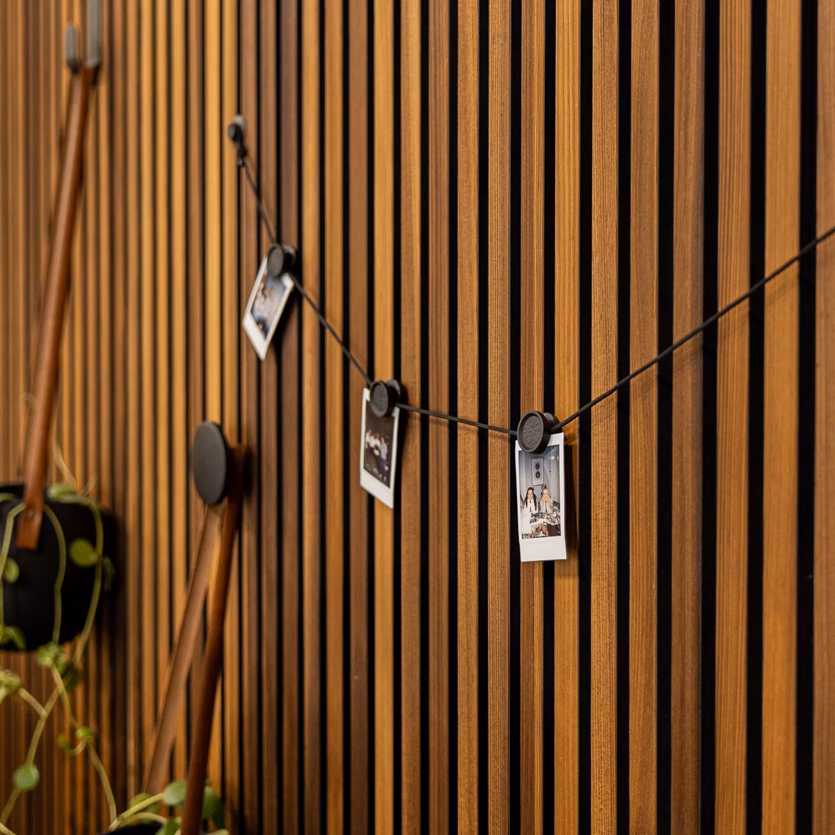 Imagen 9 de 10 en la galería Akupanel 240