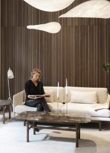 Imagen del producto Akupanel - ver 2